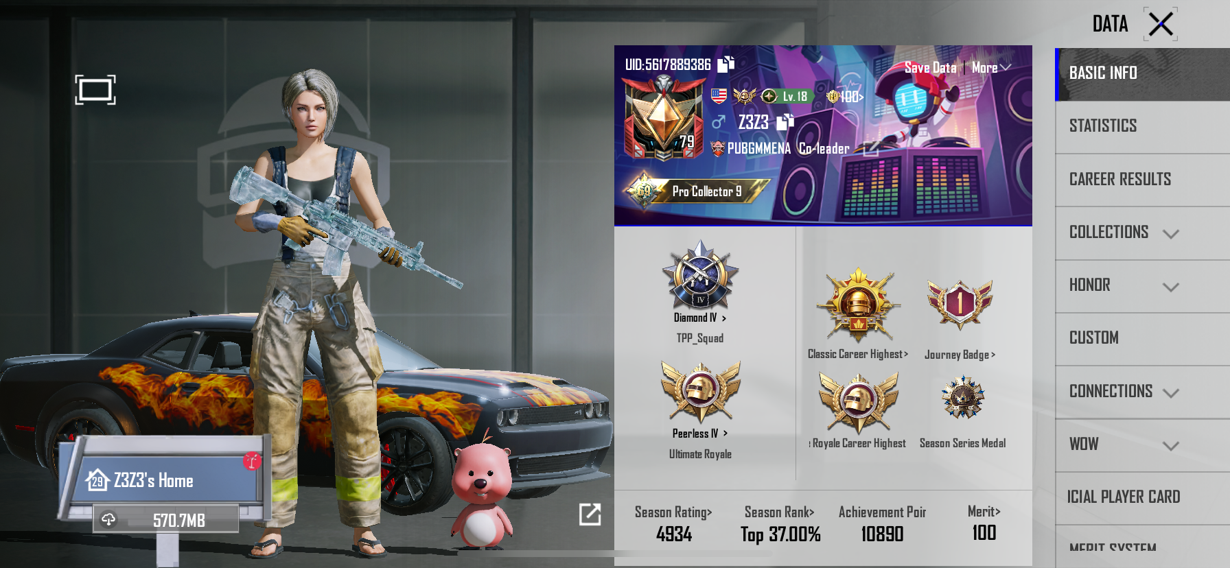 PUBGM Image